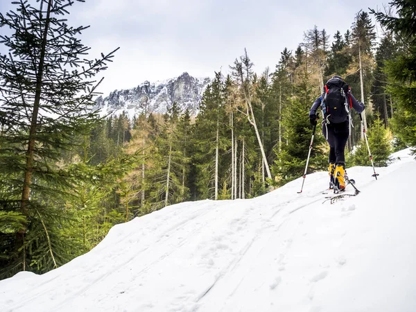若いスキーヤーは山の頂上に登り ストックフォト