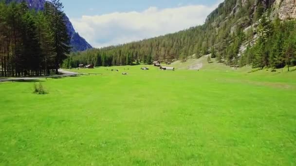 Verdadero Fotage Paisaje Montaña Vista Desde Dron — Vídeos de Stock