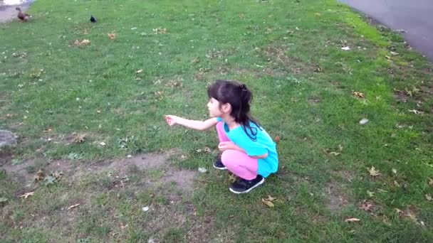 Girl feeding squirrel in the park. Girl play outdoors. Kid playing with pets — Stock Video