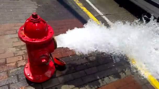 Flujo de agua limpia chorreando boca de incendios en las calles — Vídeo de stock