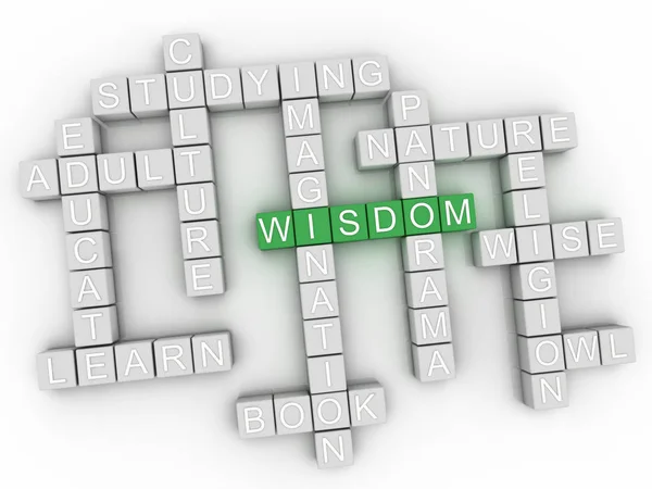 3d Wisdom Concept word cloud — Stock Photo, Image