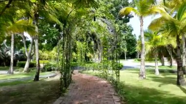 Bir park görünümünü bir güneşli yaz gününde 
