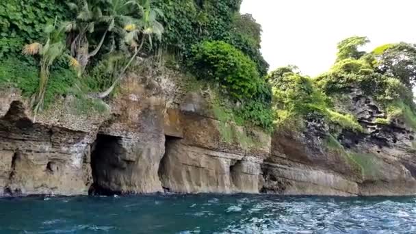 鳥の島 ボカスデルトロ パナマのクローズ アップ ボカス 鳥島のトップ観光スポットの一つはその岩の詳細を示しています — ストック動画