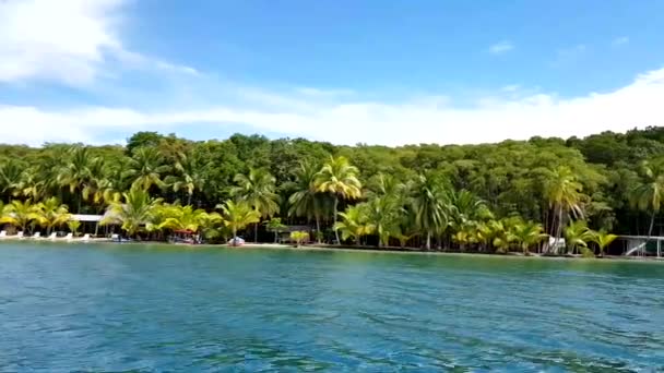 Hvězdice Pláž Souostroví Bocas Del Toro Panama Hlavním Hřebem Města — Stock video
