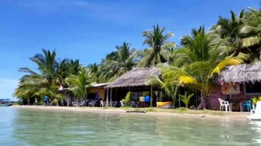 Bocas Del Toro, Panama, Kasım 9: Deniz yıldızı adalar Bocas del Toro, Panama kumsalda. 9 Kasım 2017 üzerinde çok sayıda deniz yıldızını Panama Beach şehrin ana vurgulamak yüzünden. 