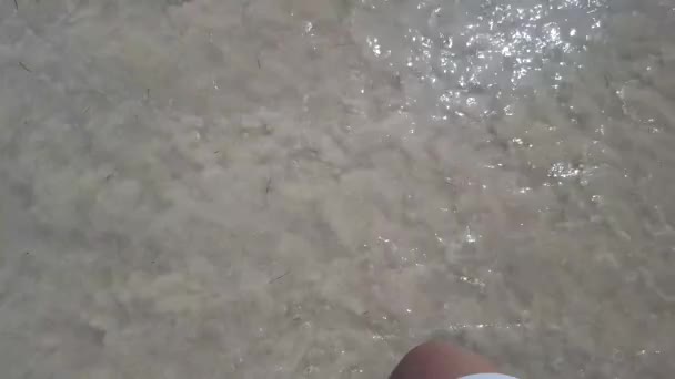 Donna Che Cammina Piedi Nudi Sulla Spiaggia Soleggiata Giorno Estate — Video Stock