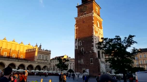Krakow Pologne Jul Vue Place Principale Marché Sukiennice Ratusz Juil — Video