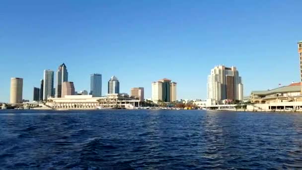 Tampa Florida Manzarası Gündüz Üzerinde — Stok video