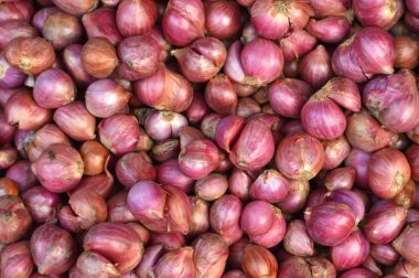 kırmızı soğan arka plan deseni