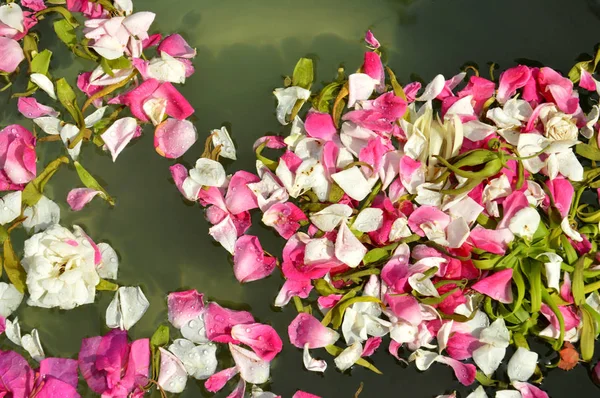 Πέταλα Λουλουδιών Νερό Που Χρησιμοποιείται Στην Παραδοσιακή Γαμήλια Τελετή Της — Φωτογραφία Αρχείου