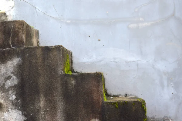 コンクリート階段スリックと苔 — ストック写真