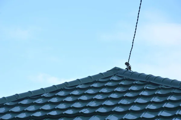 青い屋根タイルのパターン — ストック写真