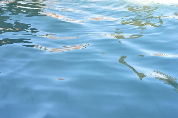 Águas Piscina — Fotografia de Stock