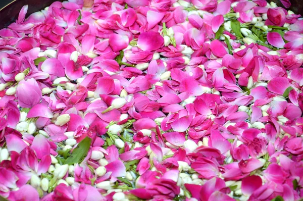 Пелюстки Квітів Воду Використовується Яванської Індонезії Традиційної Весільної Церемонії — стокове фото