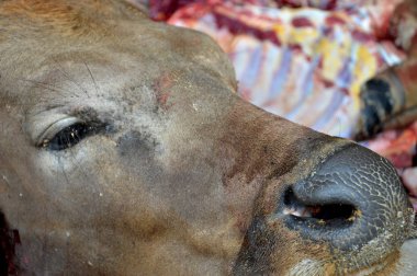 müslüman törende kesim