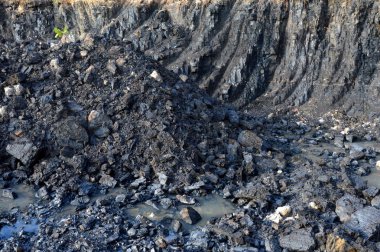 Toprakta bulunan kömür