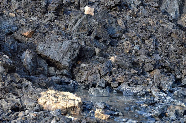 Carvão Contido Solo — Fotografia de Stock