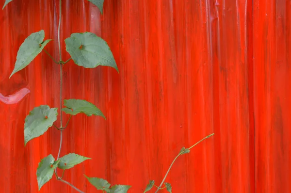 赤い亜鉛壁の背景 — ストック写真