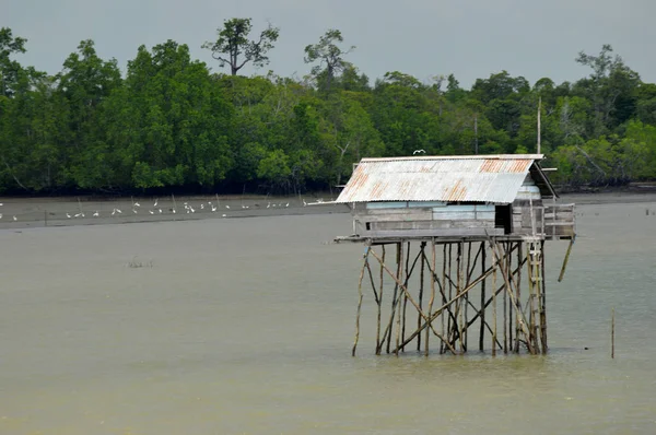 Old Huts Sea — Stock Photo, Image