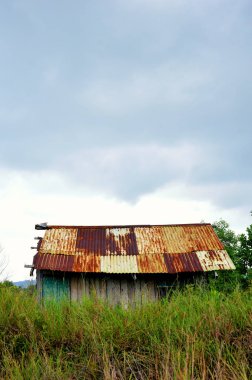 scrub çim bahçesinde eski ev