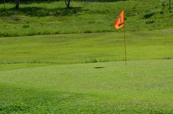 Pole Golfowe Naturalną Zieloną Trawą — Zdjęcie stockowe