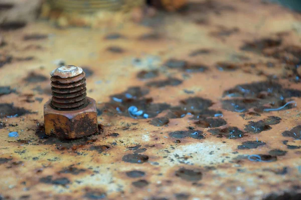 Tuerca Oxidada Detallada Placa Hierro —  Fotos de Stock