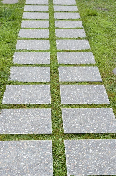 Curvaceous Foothpath Made Concrete Blocks Grass — Stock Photo, Image
