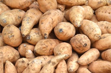 tatlı kahverengi Yam arka plan