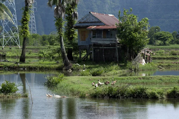 Дом Центре Рисовых Полей Затопило Деревню Panaroma Южном Сулавеси — стоковое фото