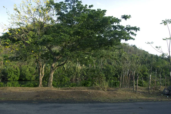 Красивая Деревня Panaroma Южном Сулавеси — стоковое фото