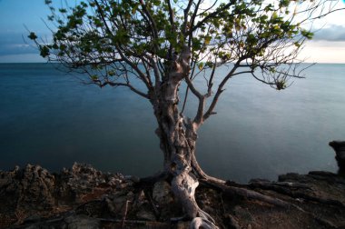 Takalar Endonezya Panorama Topejawa plaj