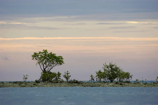 Пляж Палиппи Майене Индонезии — стоковое фото