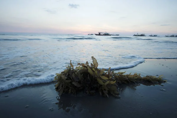 砂浜の波 — ストック写真