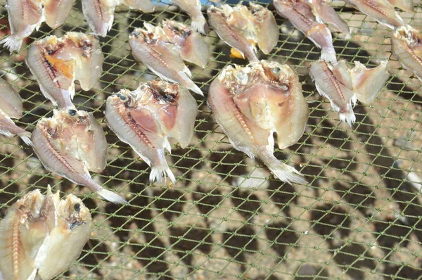 Vzorky Pozadí Sušené Ryby — Stock fotografie