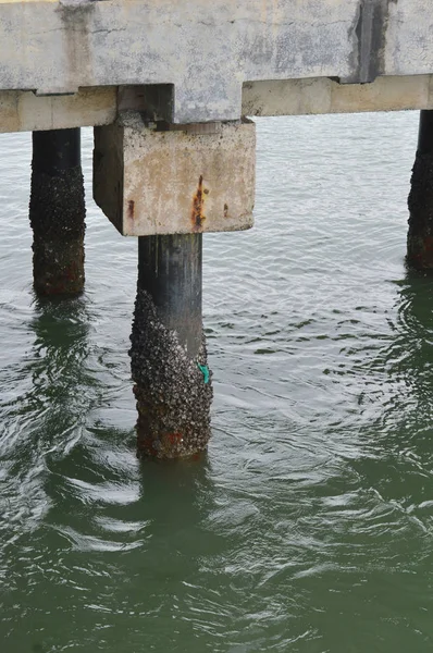 Puente Muelle Hormigón —  Fotos de Stock