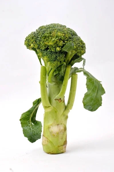 Broccoli Masă Albă — Fotografie, imagine de stoc