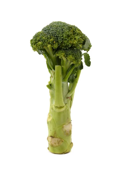 Broccoli Vitt Bord — Stockfoto