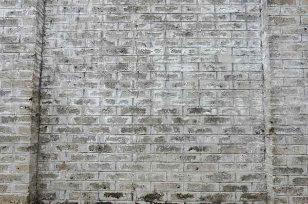 Texture Détaillée Murs Brique Gris Fond — Photo
