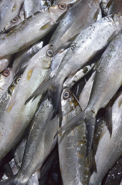 Group Milkfish Traditional Marke — Stock Photo, Image