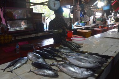 Tarakan, Endonezya. 12 Mart 2017. Tarakan City Endonezya 'da geleneksel sebze ve balık pazarı 