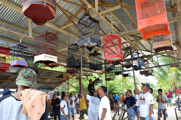 Tarakan Indonesien Mai 2016 Vogelgezwitscher Wettbewerb Tarakan Indonesien — Stockfoto