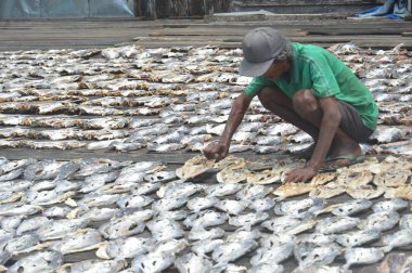 Tarakan, Endonezya - 12 Ekim 2017: Pasar Ikan Sebengkok Tarakan Endonezya 'da kurutulmuş balık çiftliği 
