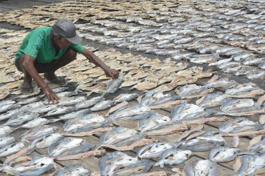 Tarakan, Endonezya - 12 Ekim 2017: Pasar Ikan Sebengkok Tarakan Endonezya 'da kurutulmuş balık çiftliği 