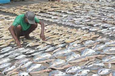 Tarakan, Endonezya - 12 Ekim 2017: Pasar Ikan Sebengkok Tarakan Endonezya 'da kurutulmuş balık çiftliği 