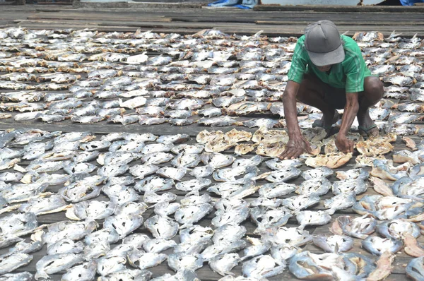 Tarakan Indonesien Oktober 2017 Trockenfischzucht Pasar Ikan Sebengkok Tarakan Indonesien — Stockfoto