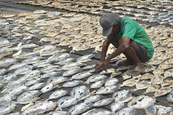 Tarakan Indonesien Oktober 2017 Trockenfischzucht Pasar Ikan Sebengkok Tarakan Indonesien — Stockfoto