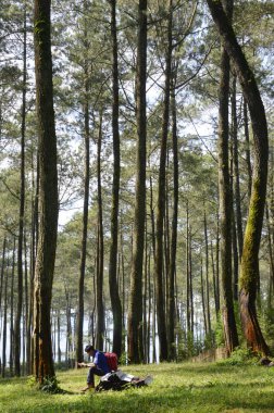 BANDUNG, İNDONEZYA 28 Mart 2014, Cikole turistik bölgesinde bir adam tropikal ormanda sohbet ediyor.
