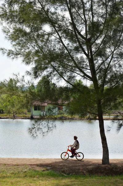 Tarakan Indonesia Maj 2016 Muslimske Drenge Pedal Cykler Ved Poolen - Stock-foto