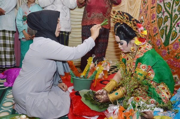 Tarakan Indonezja Stycznia 2016 Mappacci Tradycyjna Ceremonia Ślubna Bugisnese Indonezyjskiej — Zdjęcie stockowe