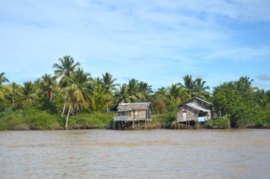 Borneo Endonezya nehrinin panoramik köyü